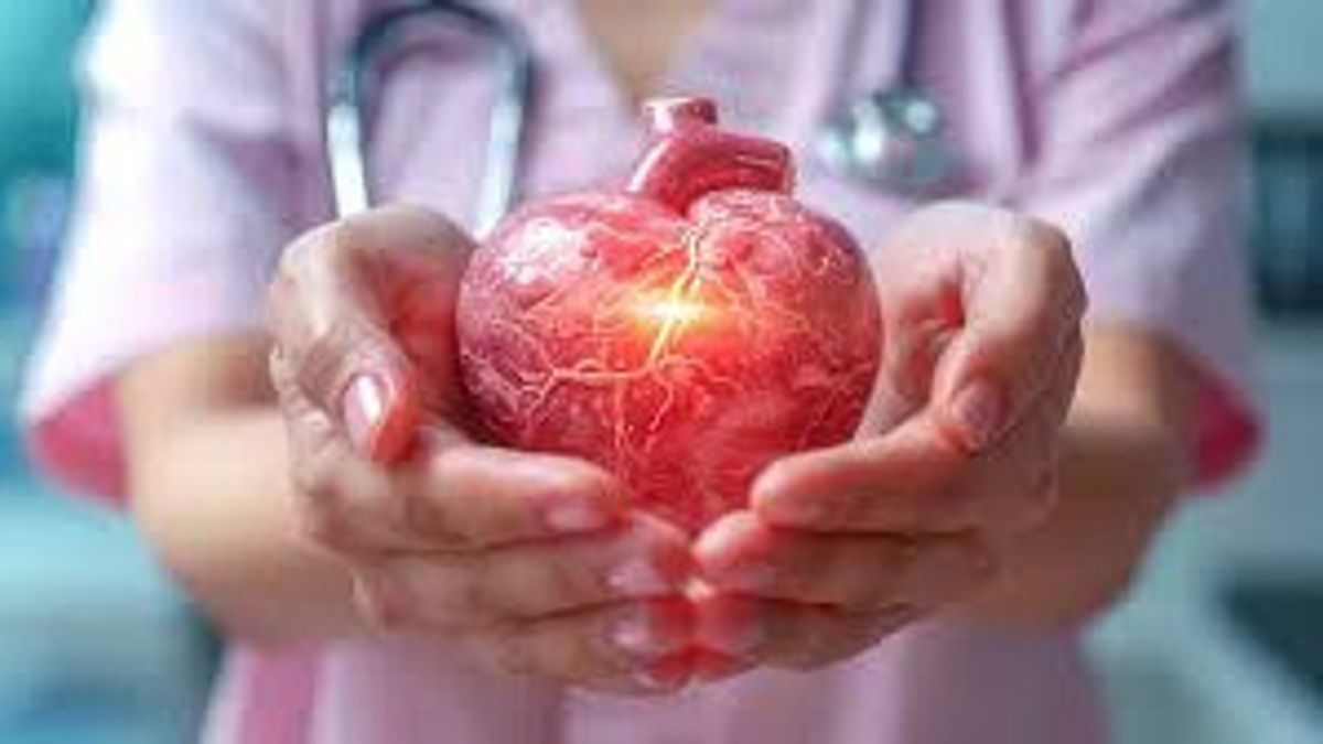 Stöder islam konceptet organdonation efter döden?